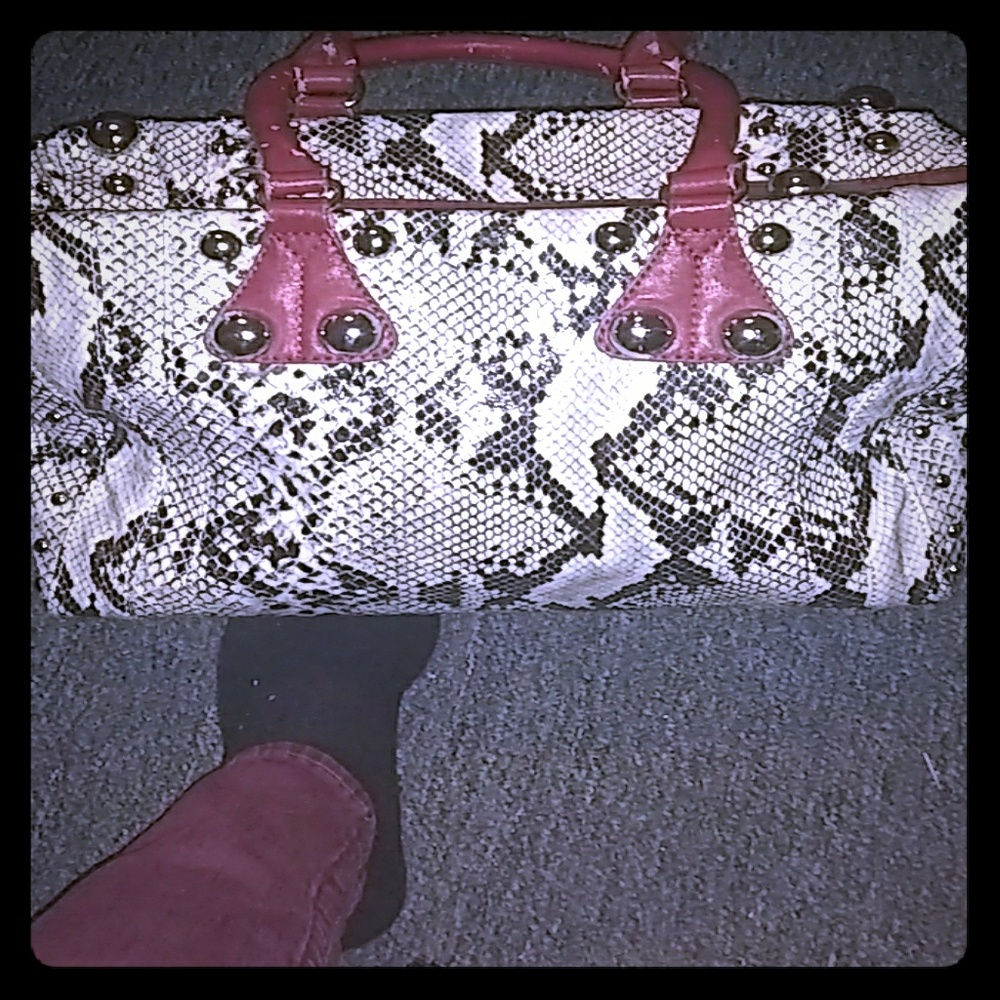 Purse snake skin